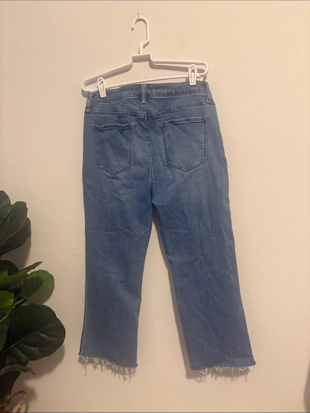 Quince Stretch High rise kick flare medium wash jeans 32 organic cotton